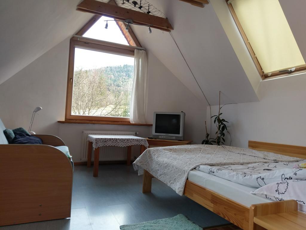Apartamencik Z Widokiem Na Giewont ซาโกปาเน ภายนอก รูปภาพ