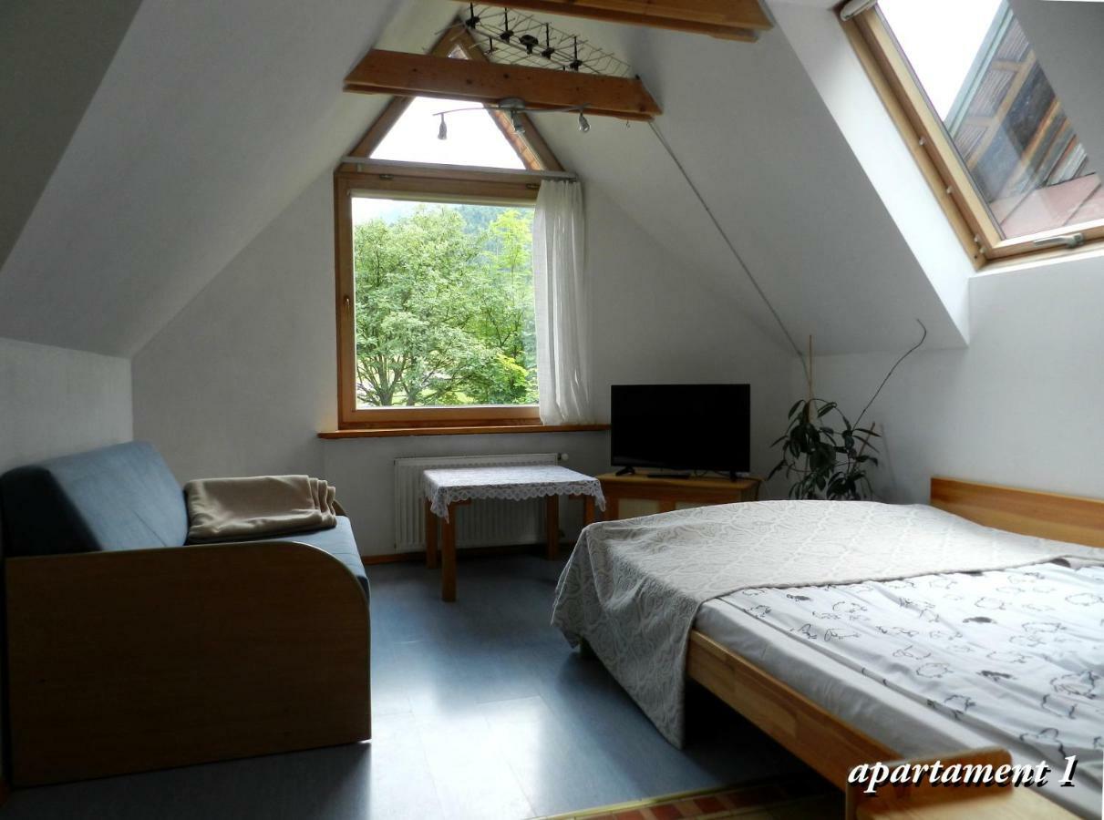 Apartamencik Z Widokiem Na Giewont Apartment ซาโกปาเน ภายนอก รูปภาพ