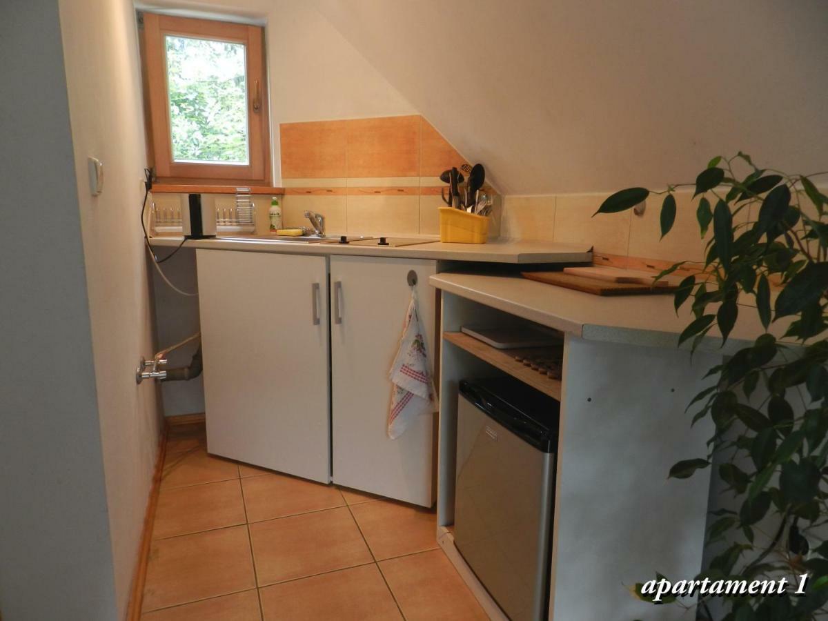 Apartamencik Z Widokiem Na Giewont ซาโกปาเน ภายนอก รูปภาพ