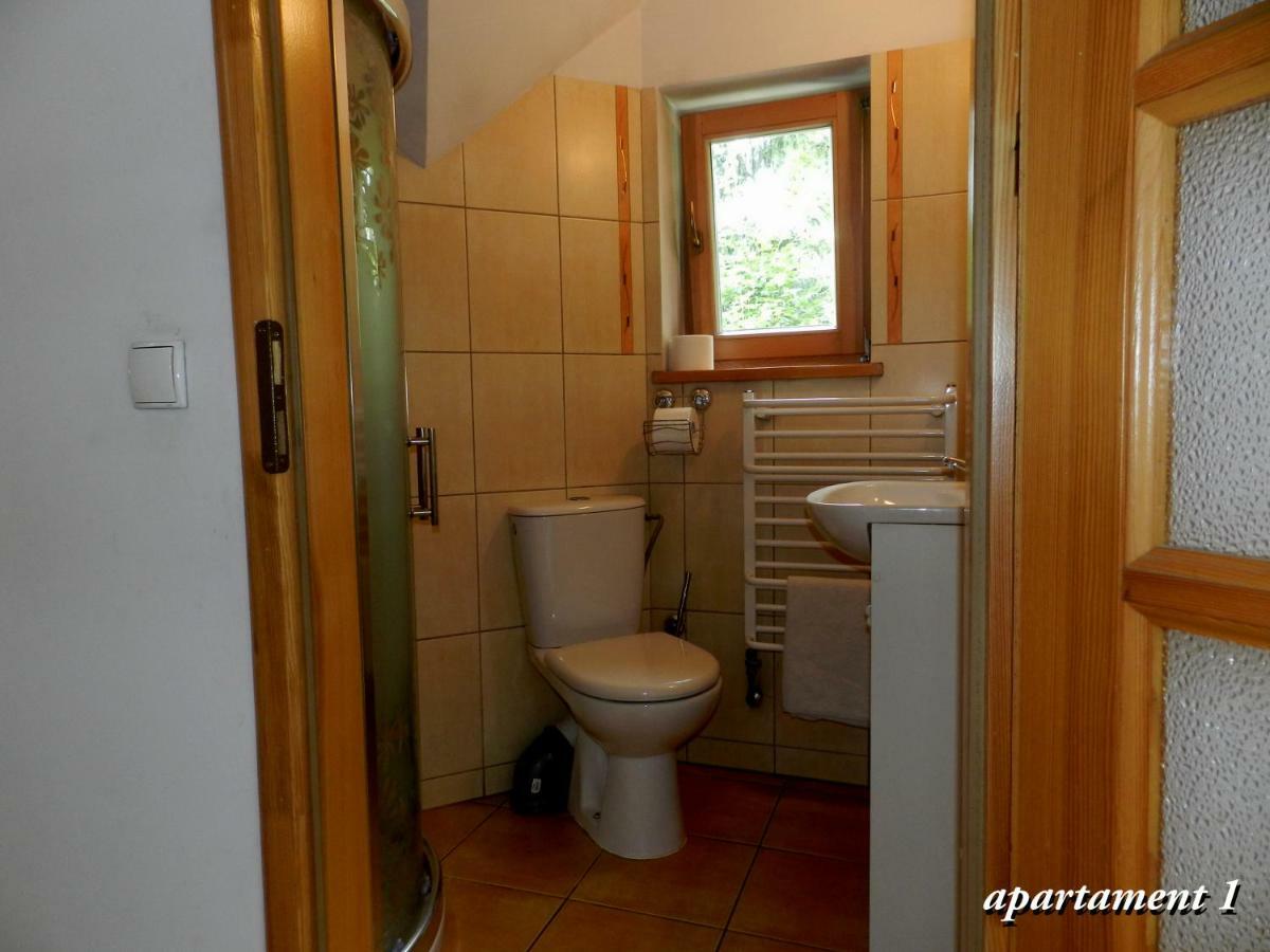 Apartamencik Z Widokiem Na Giewont ซาโกปาเน ภายนอก รูปภาพ